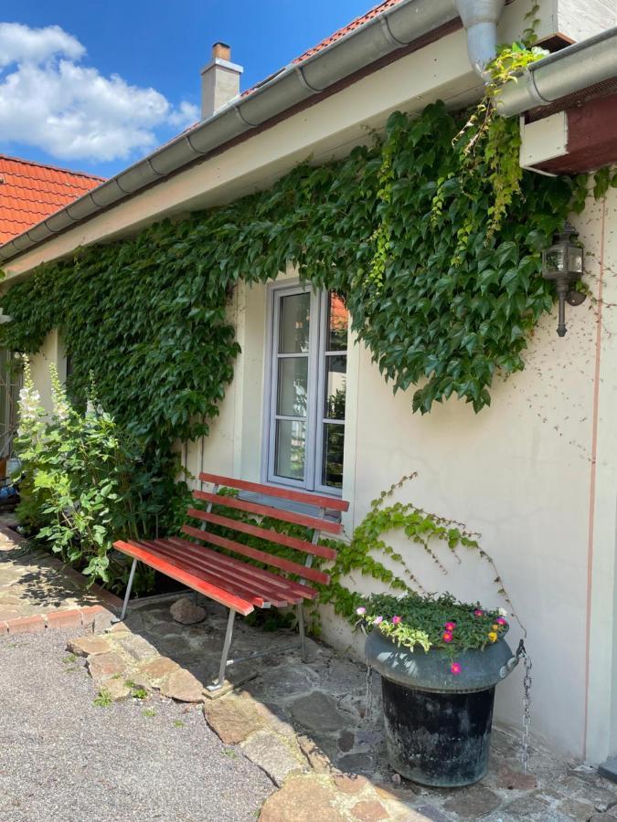Fewo Im Kneipenviertel Altkoetzschenbroda Radebeul Eksteriør bilde